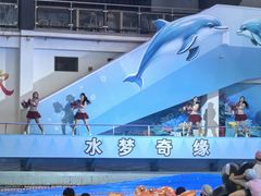 -温都水城·水梦奇缘