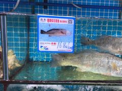 -范饭椰林川湘味海鲜·椰子鸡(三亚湾椰梦长廊店)