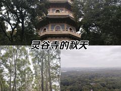 -灵谷景区