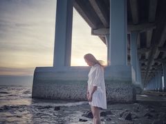 -宝安西湾红树林湿地公园