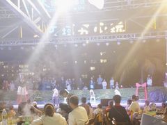 -渔家火锅·海鲜自助餐·演艺(亚龙湾天域酒店)