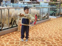 -卡通尼·Safari非洲探索乐园·生日会(金桥国际商业广场店)