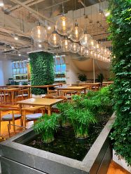 点击看大图 店内环境-悦诗风吟innisfree