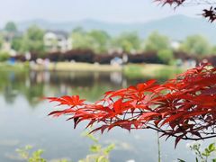 -石塘人家