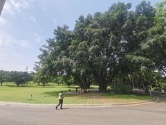 -东莞植物园