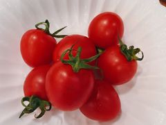 -香雪海饭店中餐厅(迎春店)