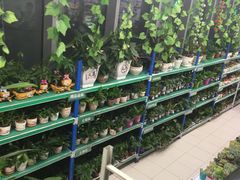 -华润万家(临城店)