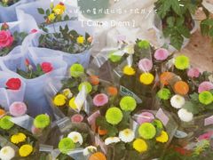 -哈尔滨道外花鸟鱼市场