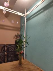 -香秀空间科技抗衰·美容中心
