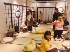 -逗柴咖啡屋·狗咖猫咖宠物桌游