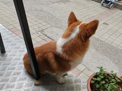 -小梁哥云吞面(黄贝岭店)