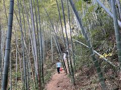 -莫干山风景区