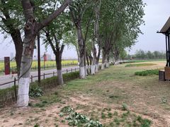 -汉长安城未央宫国家考古遗址公园