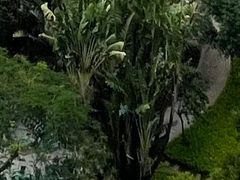 -厦金湾赶海场
