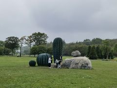 -宜兴龙背山森林公园