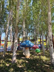 -大望京儿童游乐场