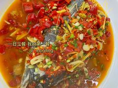 -全乐鱼馆·淳牌有机鱼直营店