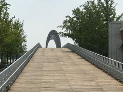 -大兴滨河森林公园