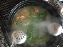 -蘑统田下·野生菌火锅