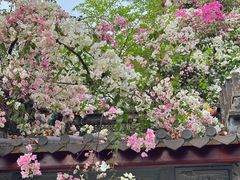 -深圳国际园林花卉博览园