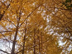 -杭州师范大学(下沙校区)