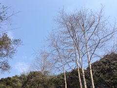 iphone_upload_pic-武夷山风景名胜区-虎啸岩