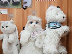 -熊猫邮局(少城店)