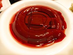 鲜鸭血-蜀九香火锅(营口店)