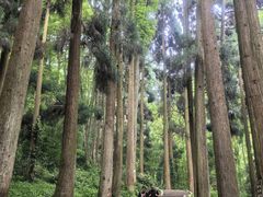 -青城山