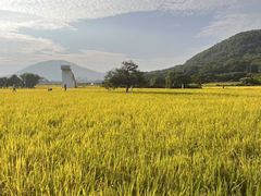 -风云岭森林公园