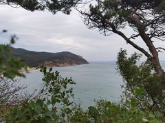 -棒棰岛宾馆景区