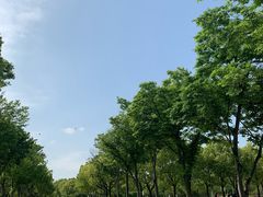 -新江湾城公园