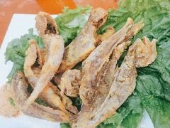 -兰州老马家族食府(康庄总店)