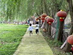 -同銮特种养殖场·龙虾垂钓