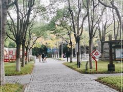 -上海吴淞炮台湾国家湿地公园