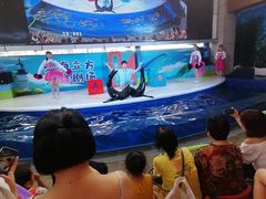 -成都浩海立方海洋公园