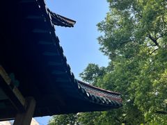 -长沙市青少年宫