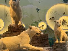 -陕西自然博物馆