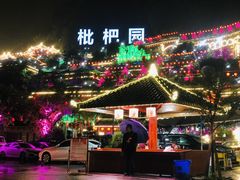 -枇杷园食为鲜火锅(南山店)