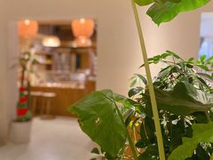 -BOCATA 西班牙餐厅(三里屯店)