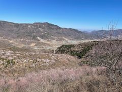 -定都峰