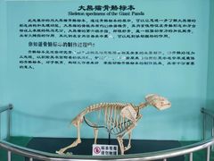 -沈阳森林动物园