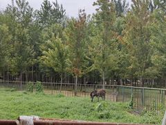 -秦皇岛野生动物园