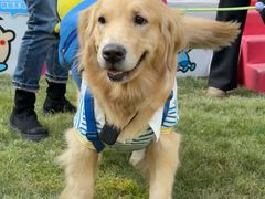 -上海神旺大酒店