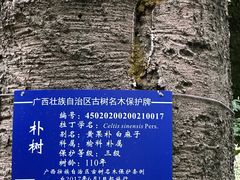 -柳侯公园
