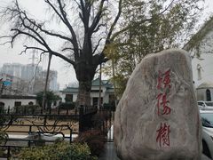 -西大酒店
