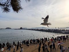 -前海沿·海鲜水饺青岛菜(乐客城店)