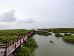 -北海金海湾红树林生态旅游区