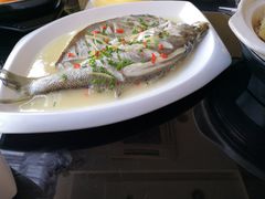 非一般鲈鱼-高第街56号港式餐厅(山大路店)