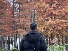 -白鹭湾湿地公园